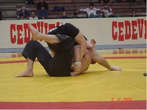 Submission wrestling «KRALJ TOMISLAV 2006»