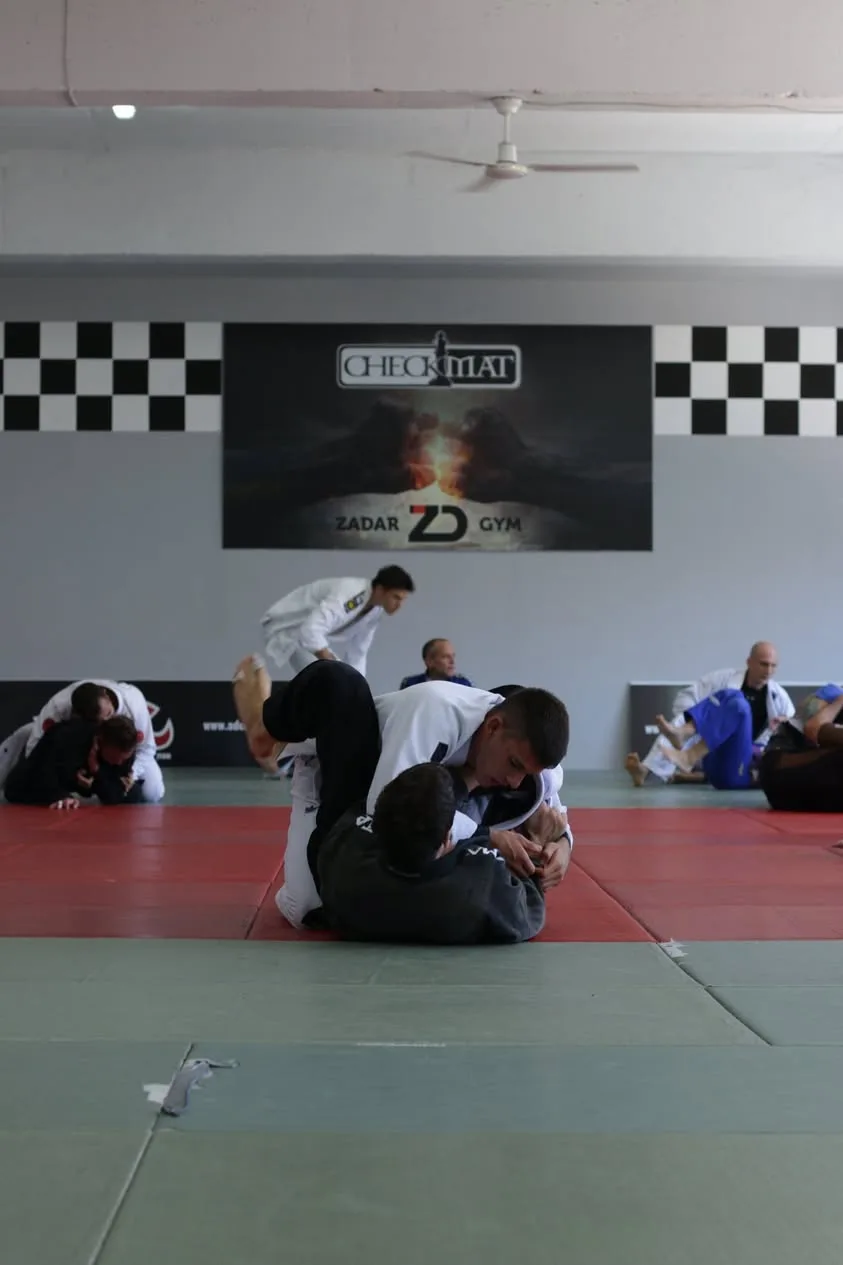 The 9th Zadar BJJ Summer Camp with prof. Leo Vieira